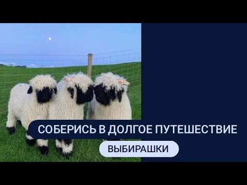 Видео: соберись в путешествие / выбирашки / mers.job