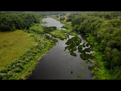 Видео: Жаркий голавлиный июль 2021, день T.H. Tackle hamamushi, ловля летнего голавля на новой реке.