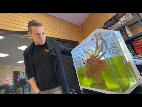Видео: Самый жуткий ПК, который я видел! 😱  #HappyPC