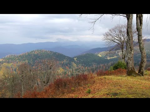 Видео: Слайдшоу - Бахмаро октябрь 2025