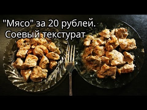 Видео: «Мясо» за 20 рублей. Соевый белок. Соевый текстурат