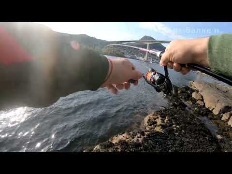 Видео: Вот это рыбалка на новом месте  Норвегия  Советую посмотреть