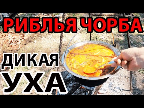 Видео: РИБЛЬЯ ЧОРБА - ГЛАВНЫЙ СЕРБСКИЙ СУП! УХА В КАЗАНЕ НА КОСТРЕ У РЕКИ! КАК ПРИГОТОВИТЬ РИБЛЬЮ ЧОРБУ!