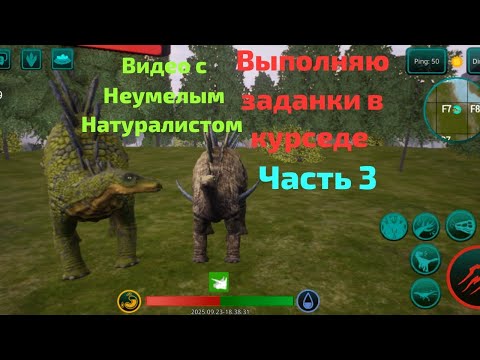 Видео: Выполняю задания в курседе. Часть 3 . Видео с натуралом