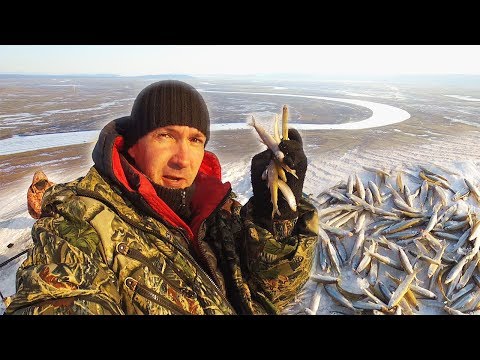 Видео: Рыбалка на самодур с силиконом. Готовлю шпроты в чугунке!
