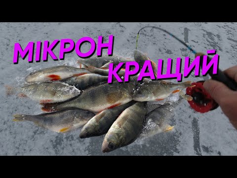 Видео: ЛОВИМ ОКУНЯ та ЩУКУ на КРАЩИЙ БАЛАНСИР МІКРОН !!!