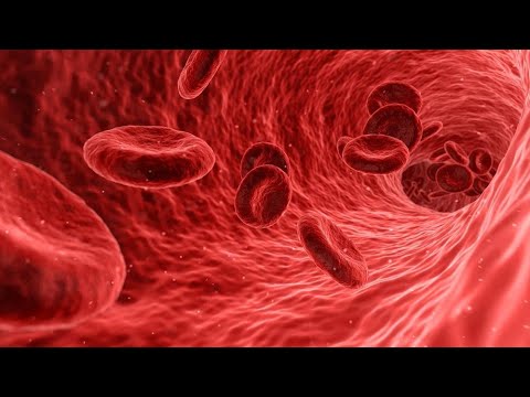 Видео: Гороскоп по КРОВИ,что это