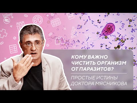 Видео: Синяки без причины | Какие аптечные средства укрепят иммунитет / Простые истины доктора Мясникова