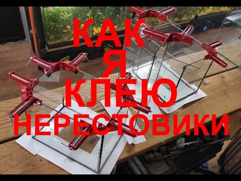 Видео: Как я клею нерестовики...