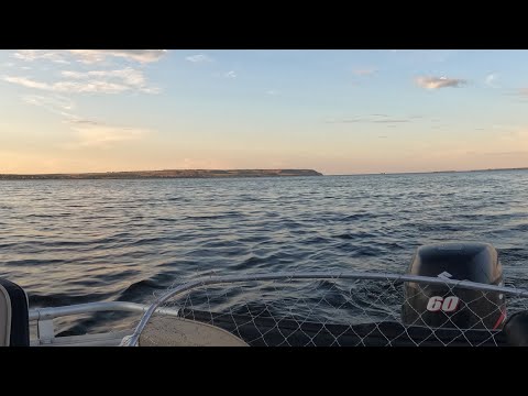 Видео: Рыбалка на Волгоградском Водохранилище