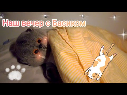 Видео: #басик #басики #влог Вечер с котом Басиком 🐾| Новый герой на канале💗