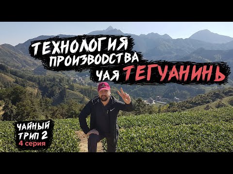 Видео: Те Гуань Инь / Технология производства чая в Анси. Чайные плантации / Чайный трип  2