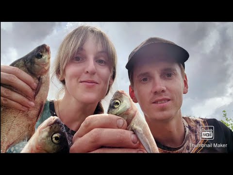 Видео: Рибалка на фідер з дружиною на річці Стир , попали на супер кльов .