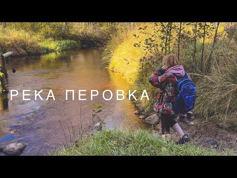 Видео: Кемпинг у спокойной реки в северном осеннем лесу (с субтитрами)
