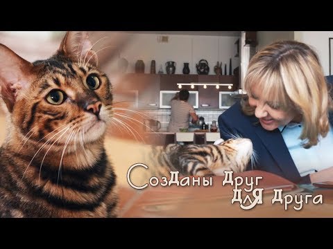 Видео: Павлова и Кот. Склифосовский. "Созданы друг для друга..."