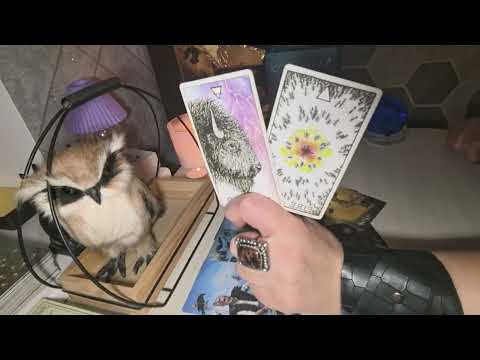 Видео: 🤦🔥Неожиданно🔥. Что он хочет от тебя сейчас🤦🔥.