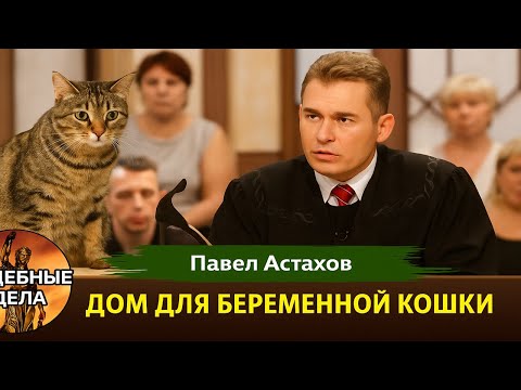 Видео: Драма дошла до суда! Судебные дела с Павлом Астаховым/ Как Избежать Судебные дела?