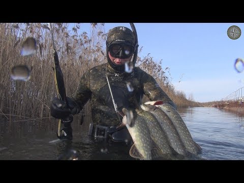 Видео: ПОДВОДНАЯ ОХОТА. ЩУКА ЗИМОЙ. ПОДВОДНЫЙ КОСМОС