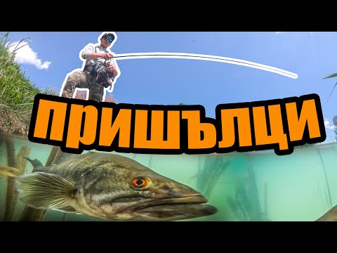 Видео: НА ЛОВ ЗА ПРИШЪЛЦИ. ЗА ПЪРВИ ПЪТ -  РИБОЛОВ НА БАС