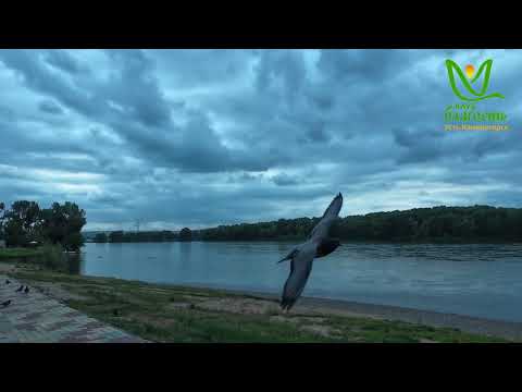 Видео: Прогулка в парке "Самал". Встречи клуба "Благость" июнь-июль. Усть-Каменогорск