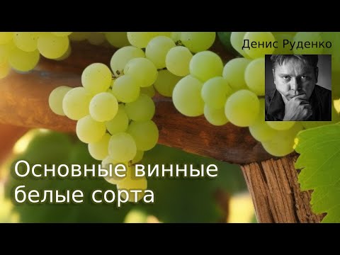 Видео: Основные винные белые сорта винограда