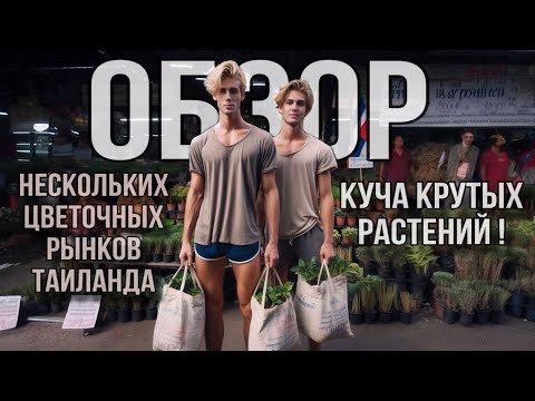 Видео: ПАРНИ В ШОКЕ ОТ РАСТЕНИЙ ТАИЛАНДА!😱🪴 ОБЗОР НЕСКОЛЬКИХ ЦВЕТОЧНЫХ РЫНКОВ В ПАТТАЙЕ 🤩