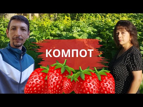 Видео: Най-вкусният компот... си направихме на село от нашите ягоди | Живот на село | Боби и Катето