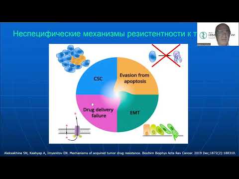 Видео: Лечить как всех – или по-другому? Взгляд молекулярного генетика на лечение рецидивов рака яичников