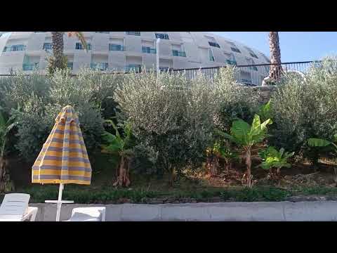 Видео: Турция октябрь 2023. Пляж Lonicera.