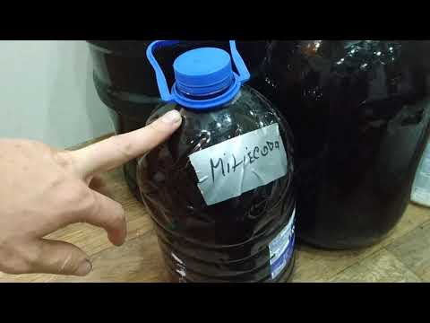 Видео: Запуск культурного Ямб, зачем и как