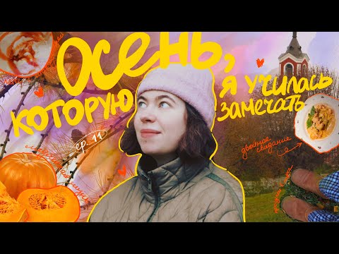 Видео: осенние неурядицы и любовь к себе 🍁🍄🍂