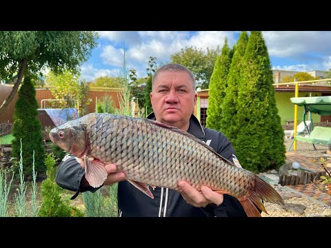 Видео: Карп запеченный на углях. Сочный и идеальный вкус.