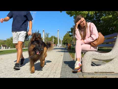 Видео: Заметят ли меня мои собаки в общественных местах?