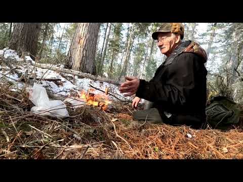 Видео: Поход в западную избу. Медвежий угол.  Медведей столько , что мурашки по спине.