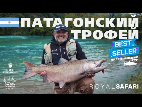Видео: Гигантская чавыча в Аргентине — рыбалка, которую не забудешь!