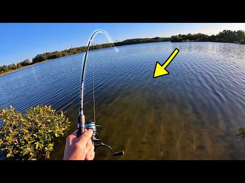 Видео: Дневная сессия в эстуарии – лещ и плоскоголов в заливе Ботани (соревнование в середине недели)