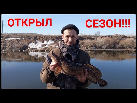 Видео: Рыбалка на налима. Открытие сезона 2023.