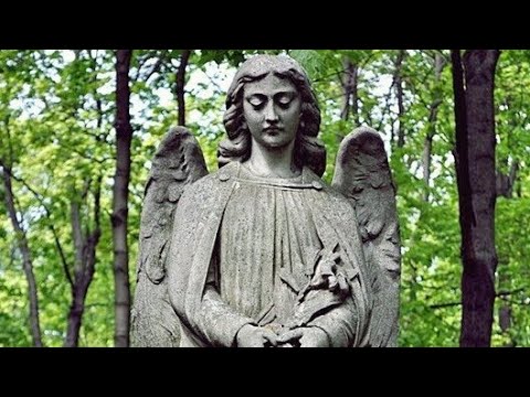 Видео: "Введенское Кладбище "