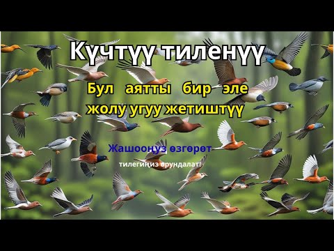 Видео: Оомат жана берекени чакырган Кудайдын сөзү