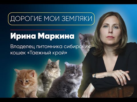 Видео: Ирина Маркина, владелец питомника сибирских кошек «Таежный край»/ «Дорогие мои земляки»