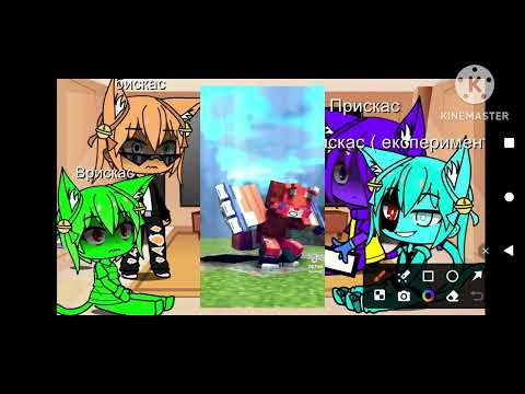 Видео: реакція разноцветная котов на бискаса