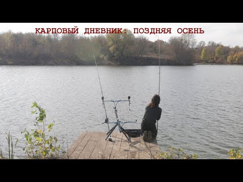 Видео: Секреты рыбалки на карпа: поздняя осень. Прикормка, оснастка, тактика. Ловля в очень холодной воде