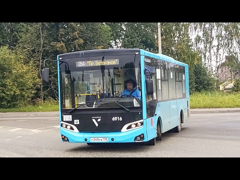 Видео: Автобус, маршрут №284 Volgabus-4298.G4 (LNG) б.6916 (14.09.2022) Сергиево/Санкт-Петербург