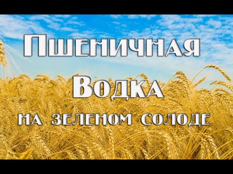 Видео: Пшеничная водка (самогон из пшеницы): рецепт браги, перегонка, очистка