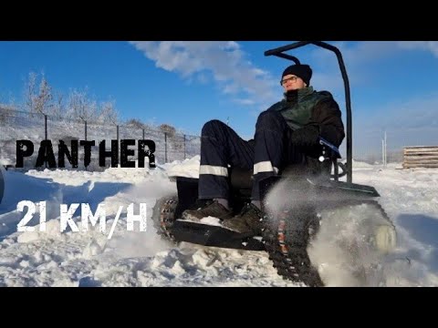 Видео: пантера