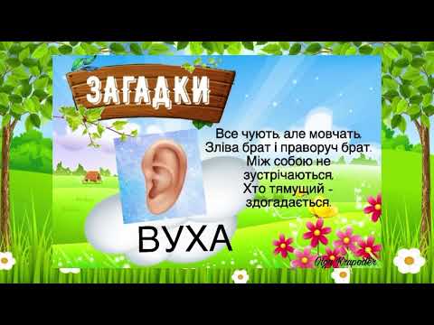 Видео: ЗАГАДКИ 🤔 Органи чуття 👍