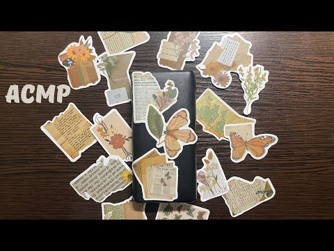 Видео: АСМР стилизация павер банка ♥️