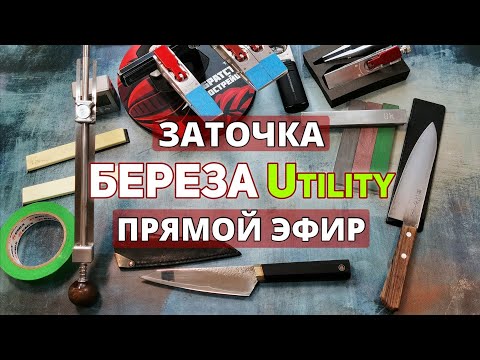 Видео: Заточим нож БЕРЁЗА Utility. По стали не скажу, но очень твердая💯 Прямой эфир!