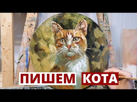 Видео: Пишем кота на круглом холсте маслом