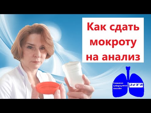 Видео: Как сдать мокроту на анализ